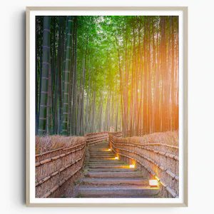 🏞️ 나고 아라시야마 전망대(나고 아라시야마 텐보우다이) 이미지 4